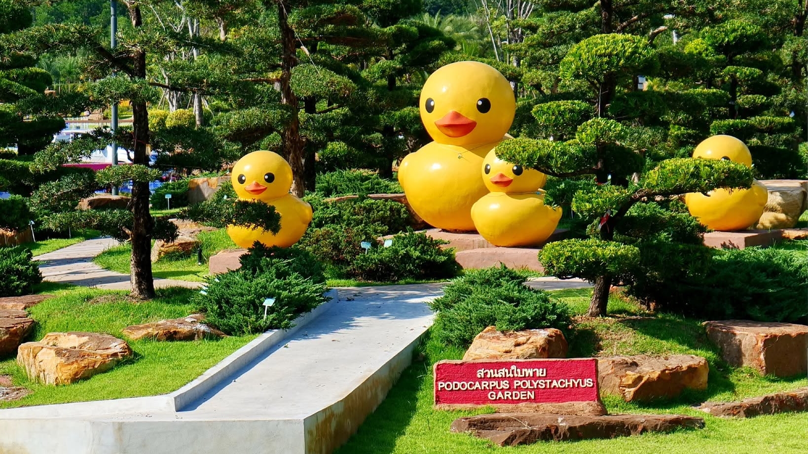 Udon Thani Horticultural Expo to Showcase Global Gardens on Wetland