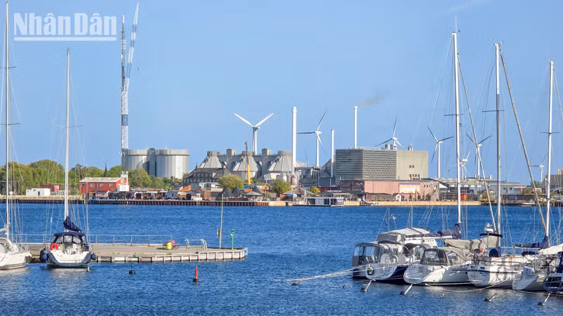 ベトナム、洋上風力発電でエネルギー転換加速:デンマークの知見活用へ