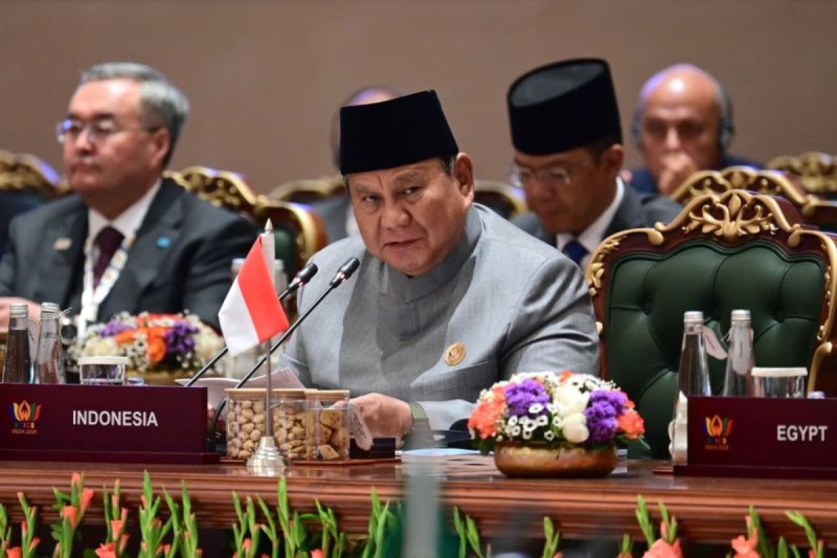 Indonesia Urges BRICS to Enhance Industrialization, Supply Chains