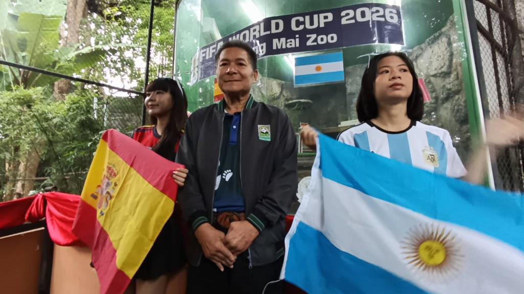 Chiang Mai Zoo Stars "Ying Lee" and "Tiger" Add Excitement to World Cup Final