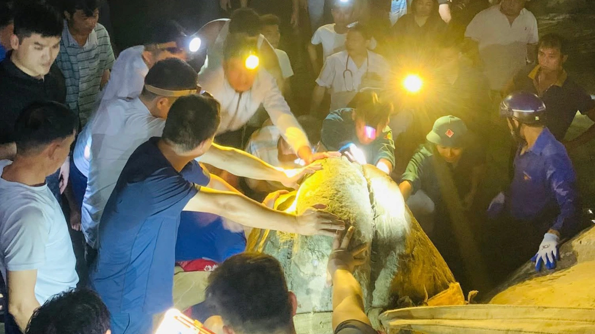 ベトナムの渓流で発生、1トン超の岩に挟まれた男性の救出劇