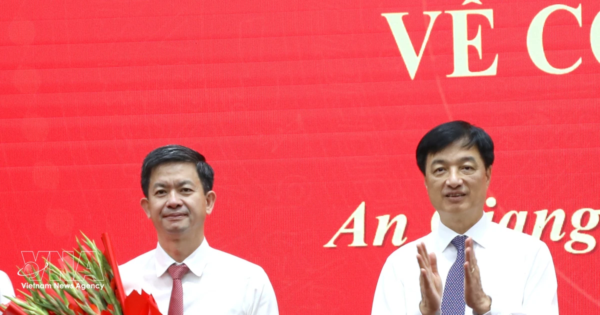 Le Quang Tung appointed Secretary of An Giang provincial Party Committee