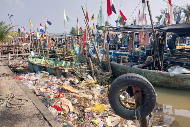 Plastic Waste Threatens Indonesian Marine Biodiversity and Economy