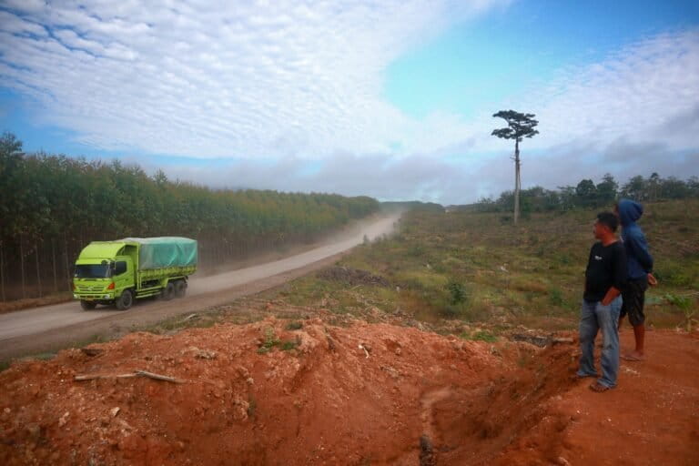 Indonesia: Over 800 Residents Isolated After Logging Firm Blocks Roads