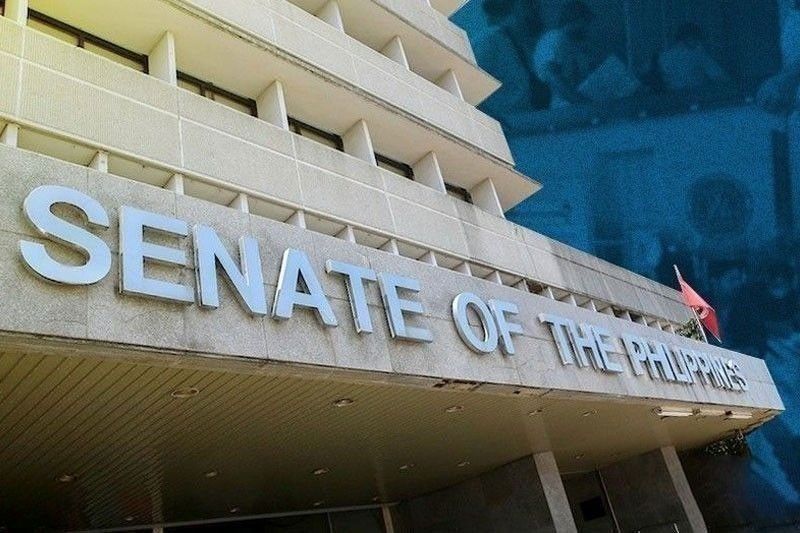 Philippines-France VFA Approved by Senate Committee, Paving Way for Ratification