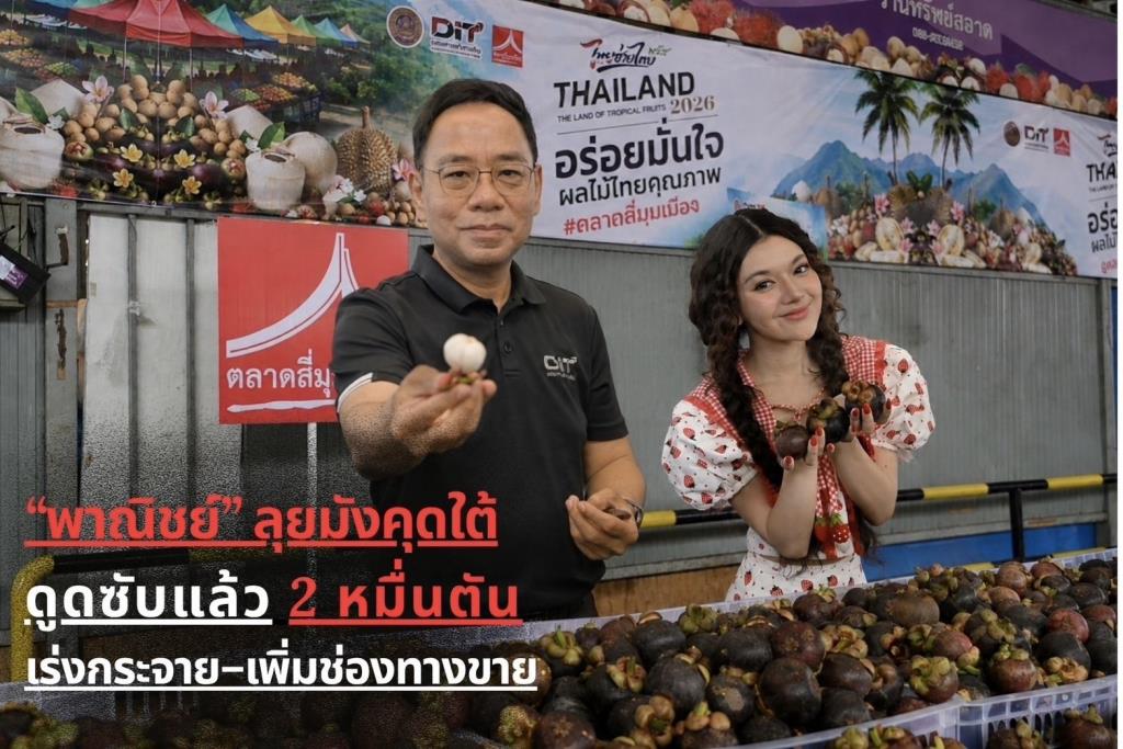 Thailand Ramps Up Southern Mangosteen Management, Buys 20,000 Tons, Expands Sales Channels