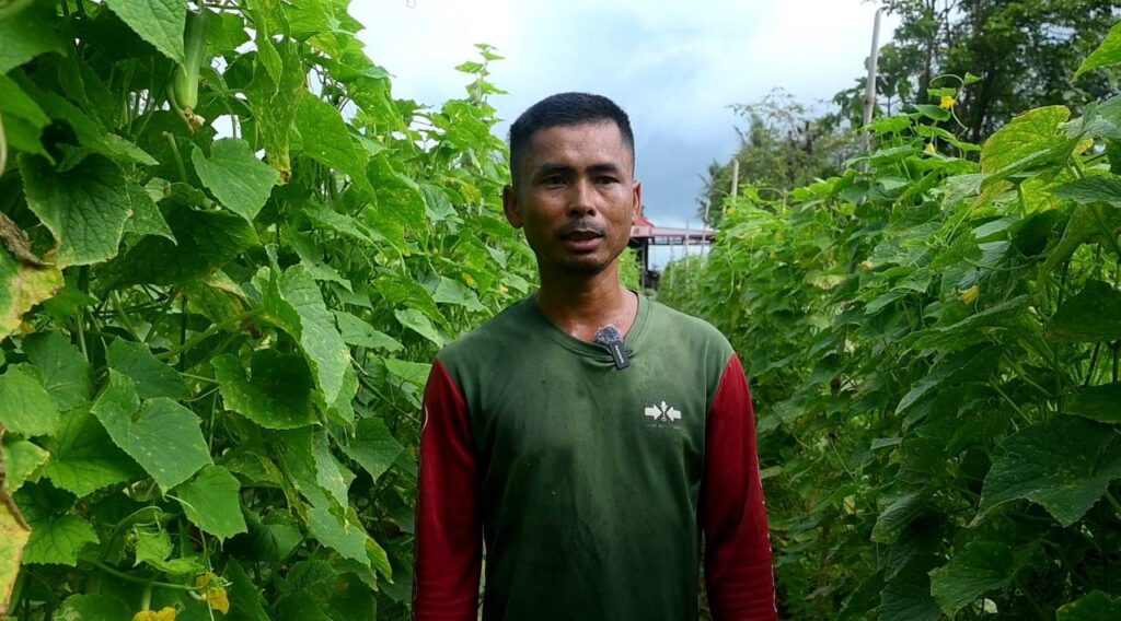 Cambodia: Tasak Farmers in Kratie Province Harvest at Prices Ranging from 400 to 1000 Riel Per Kilogram