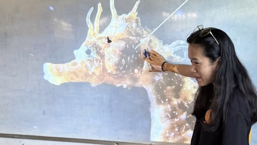 Cambodia: MCC Educates Children on Marine Life to Foster Environmental Awareness