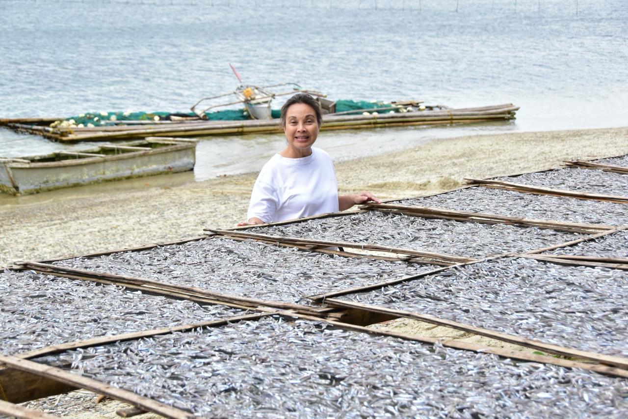 Legarda Files Bill to Strengthen Fishing Vessel Monitoring