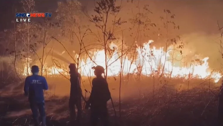 Muhammadiyah Warns Against Normalizing Forest Fires as Annual Disasters