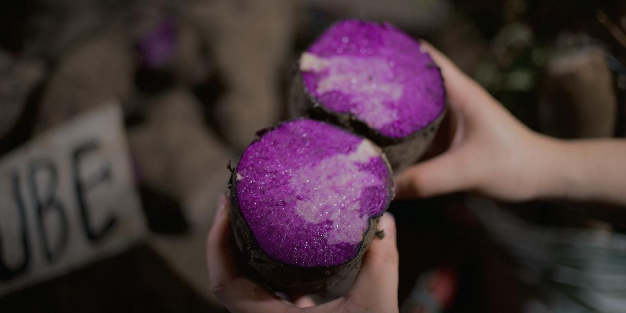 Philippines to Structure Ube Industry Amid Soaring Global Demand