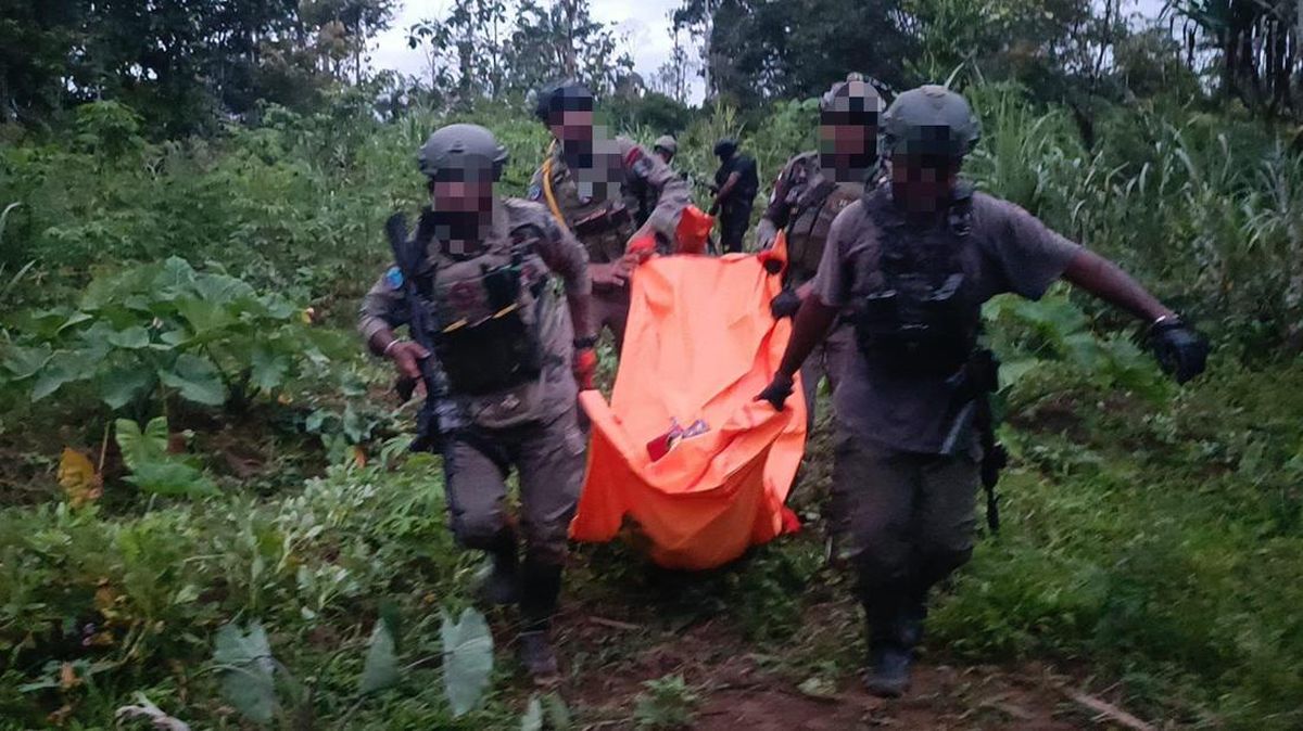 29 Killed by Armed Criminal Groups in Papua Pegunungan in First Half of 2026