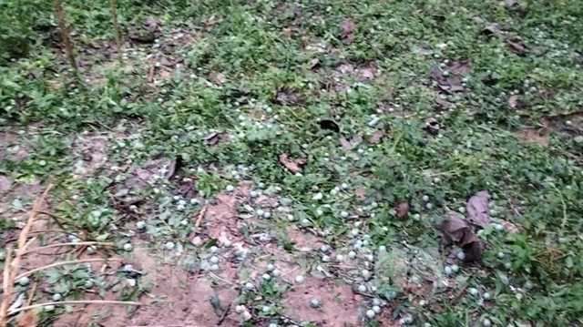Severe hailstorms and thundersqualls strike northern Vietnam, causing significant agricultural damage