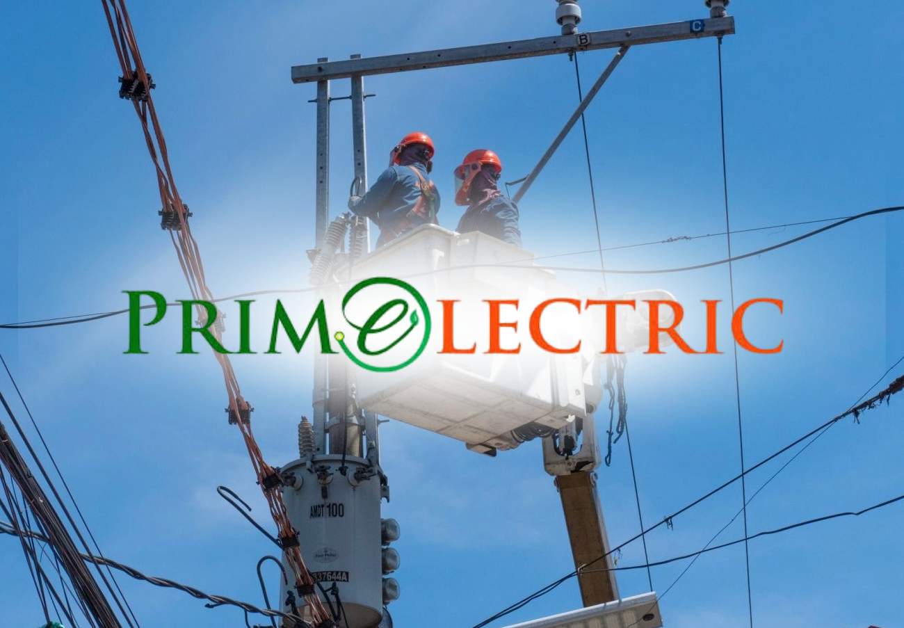 Razon's Primelectric to Expand Power Distribution Network in Economic Zones