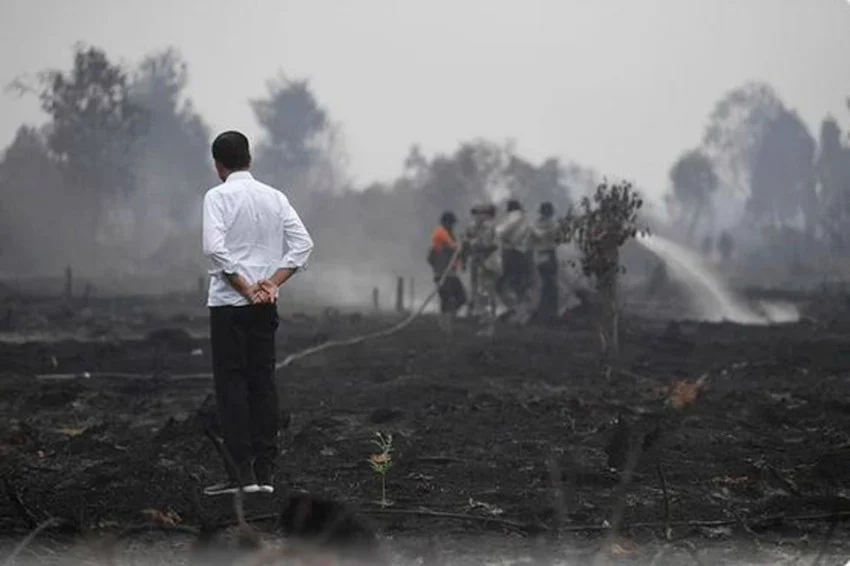 PSI Politician's Post on Jokowi's Forest Fire Visit Sparks Debate