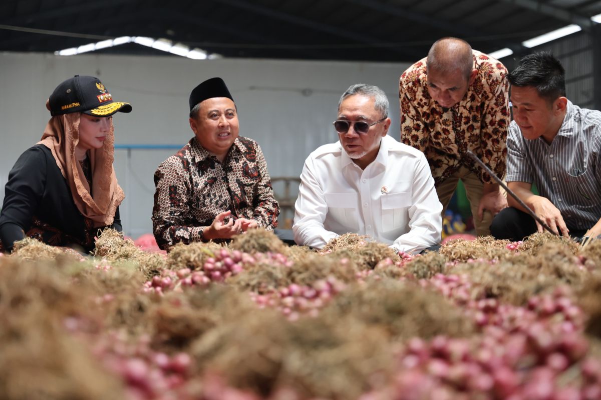Indonesia Resumes Brebes Shallot Exports to Thailand Amidst Supply Surplus