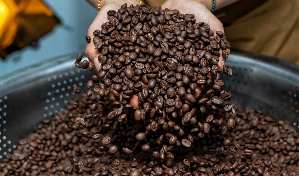 ベトナムがラオス南部のコーヒー産業に5000万ドルを投資、農業の近代化を加速
