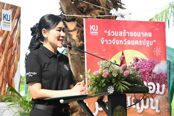 タイ農業の競争力強化へ:高品質米「カオ・ホーム・マラエン」が研究室から農家へ
