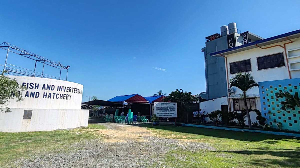 アルミニオス市、長年の漁業拠点確保 BFAR、土地利用権を正式に取得