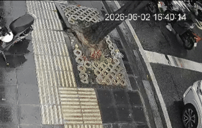 ホーチミン市中心部で街路樹倒木、車両2台が損傷