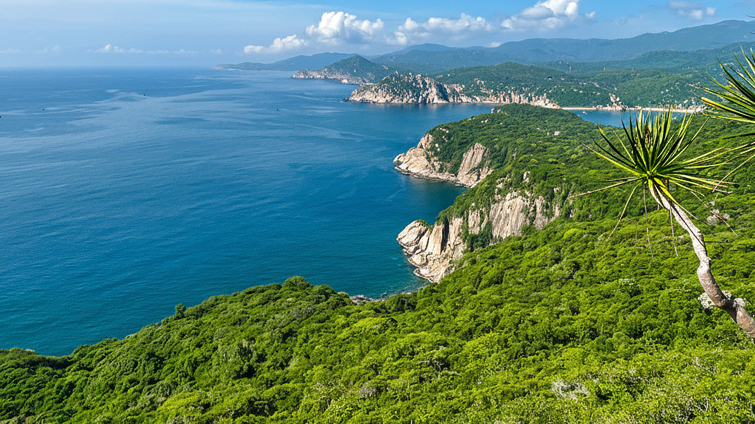 Núi Chúa National Park Leases Over 870 Hectares of Forest Environment for Tourism