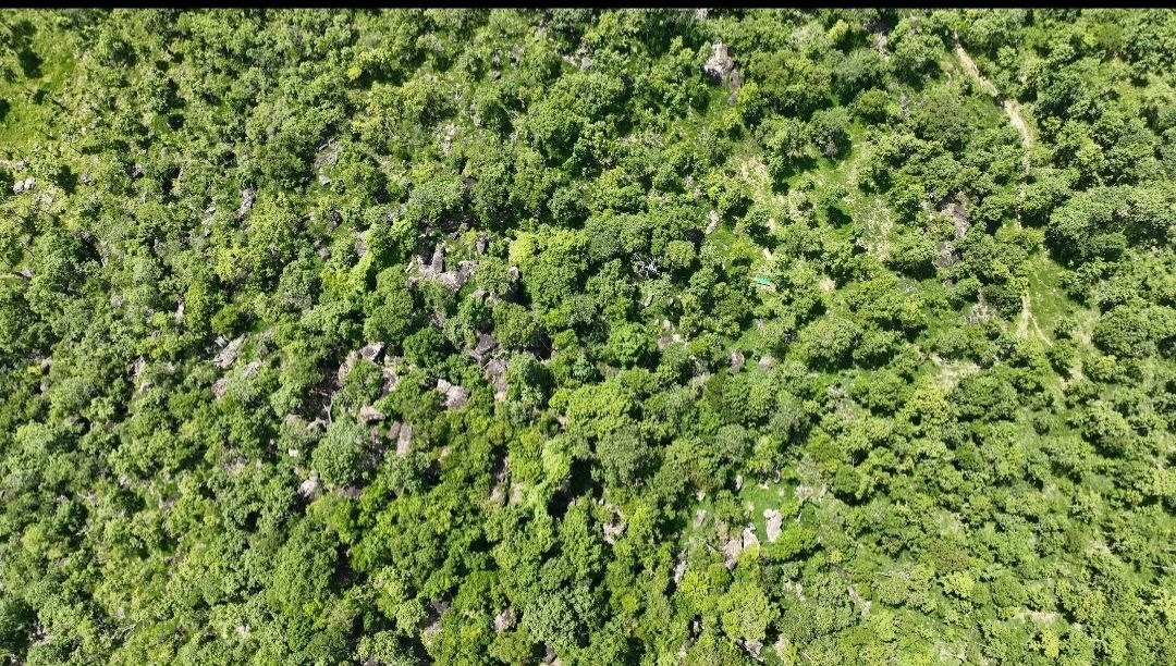 Indigenous Communities Seek Legal Recognition of Sacred Sites, Burial Grounds in Cambodia