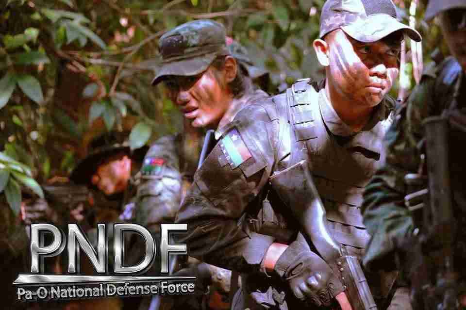 PNDF第1011大隊、創設3周年を発表