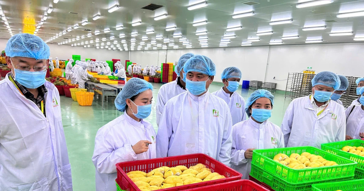 農産物輸出の生命線:中国の規制強化と「標準化・トレーサビリティ」の重要性