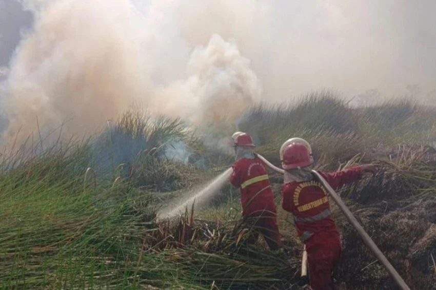 Indonesia: Over 107,000 Hectares of Forest and Land Lost to Fires in 2026