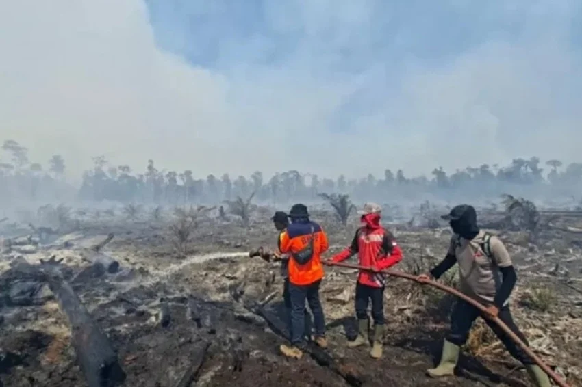 Indonesian House Pushes for Disaster Management Law to Strengthen BNPB