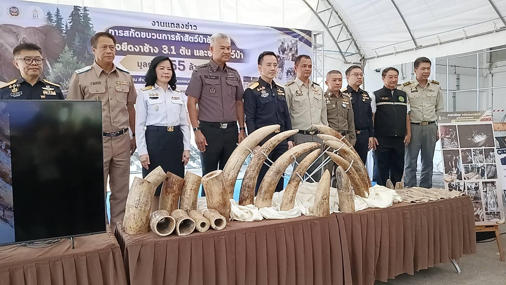 Thai Customs Seizes Over 3 Tonnes of Ivory Hidden in Timber