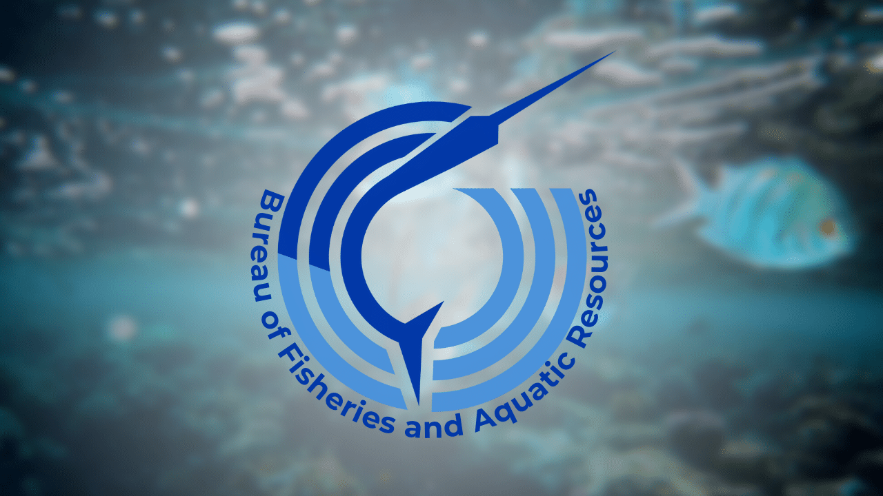 Philippines Showcases Domestic Fisheries Tech to Bolster Management