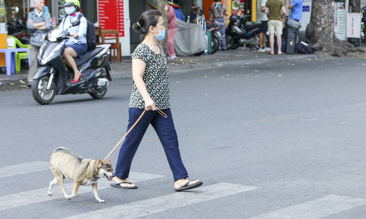 Vietnam to Fine Dog Owners Up to $77 for Unmuzzled Pets