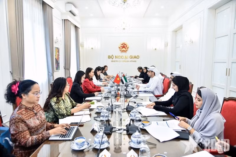 Vietnam, UAE Deepen Ties in Third Foreign Ministry Political Consultations