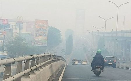 煙害問題、インドネシア副国会議長が「実効性ある対策」で反論を提唱