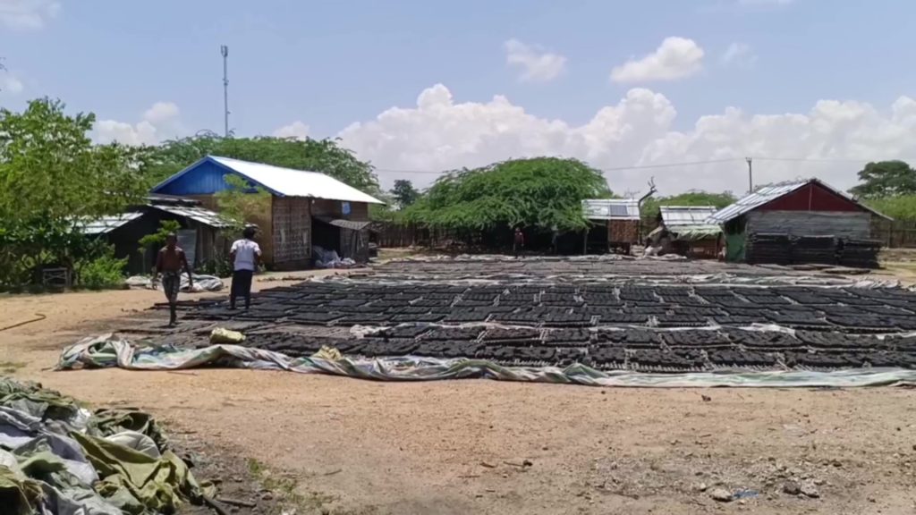 Fuel pellet prices are rising in Magway
