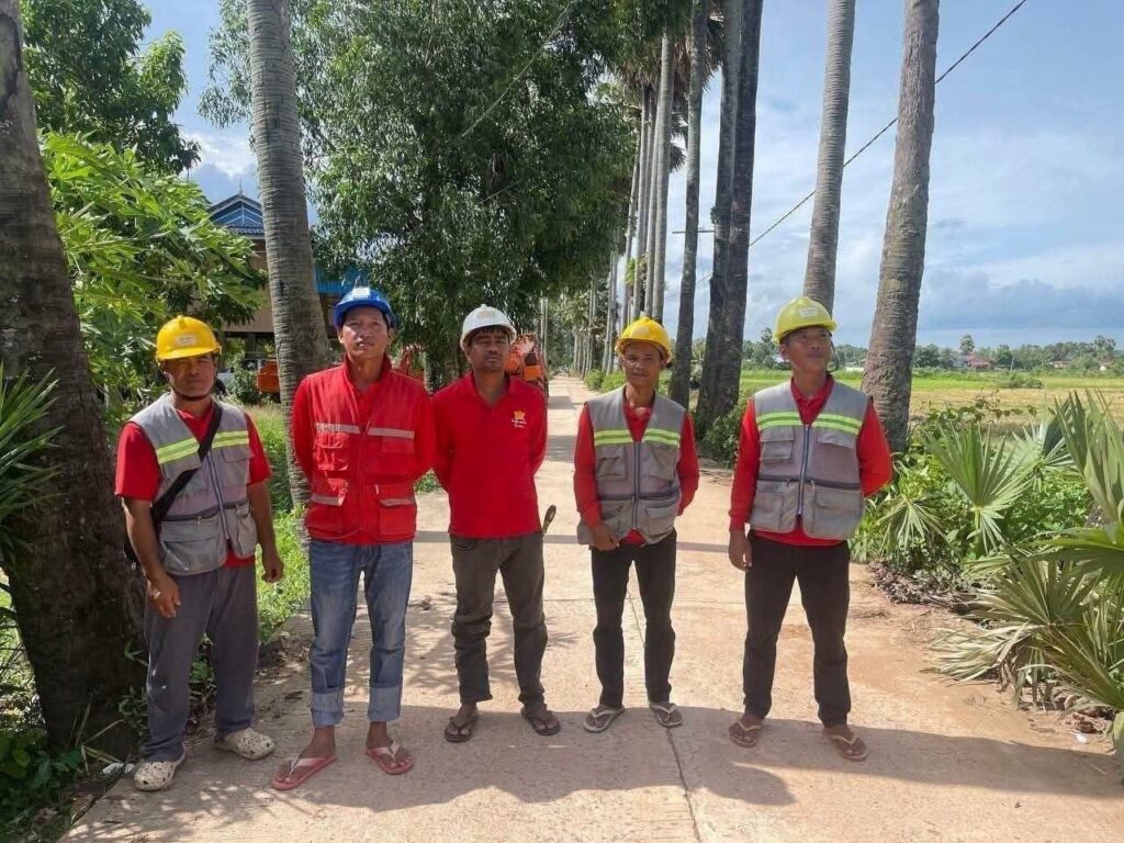 Cambodia: Power Company Staff Arrested for Cutting 170-Year-Old Palm Trees; Compensation Refusal Sparks Outrage
