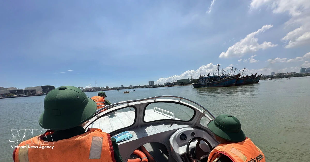 ダナン、持続可能な漁業へ漁船団再編 IUU「イエローカード」解除へ前進