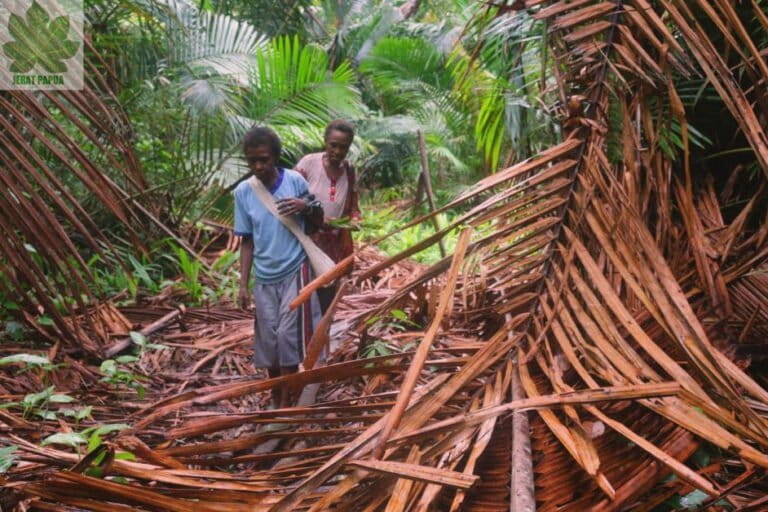 パプア先住民女性、土地と森林保護へ訴え