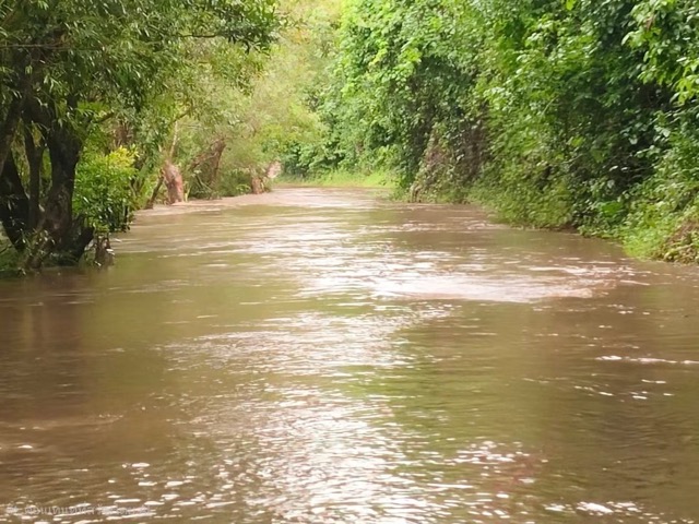 Khao Yai National Park Partially Closed Due to Heavy Rains and Flooding
