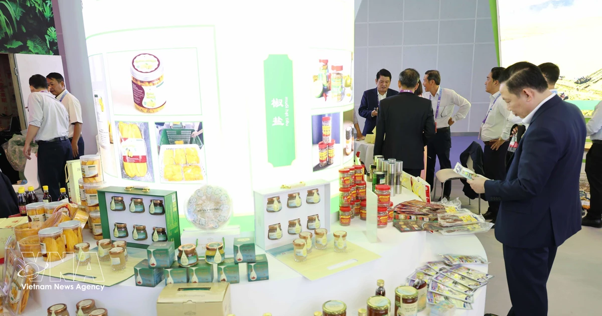 Vietnam Showcases "Charming Cities" at CAEXPO to Boost China Trade