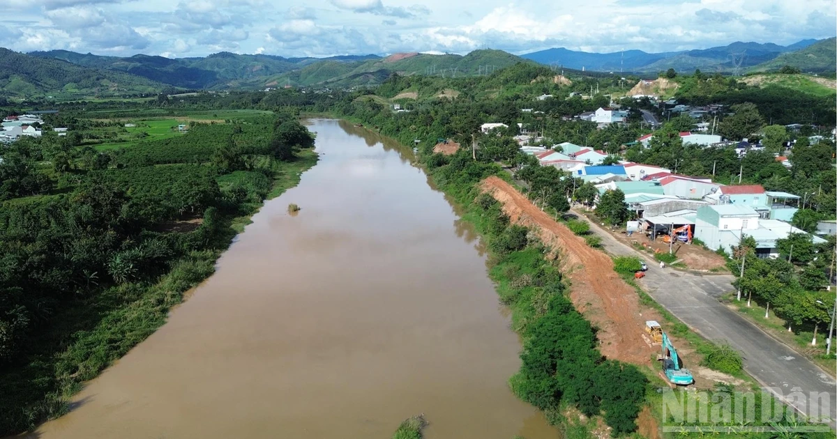 Quang Ngai Province Initiates Emergency Embankment Project to Combat River Erosion