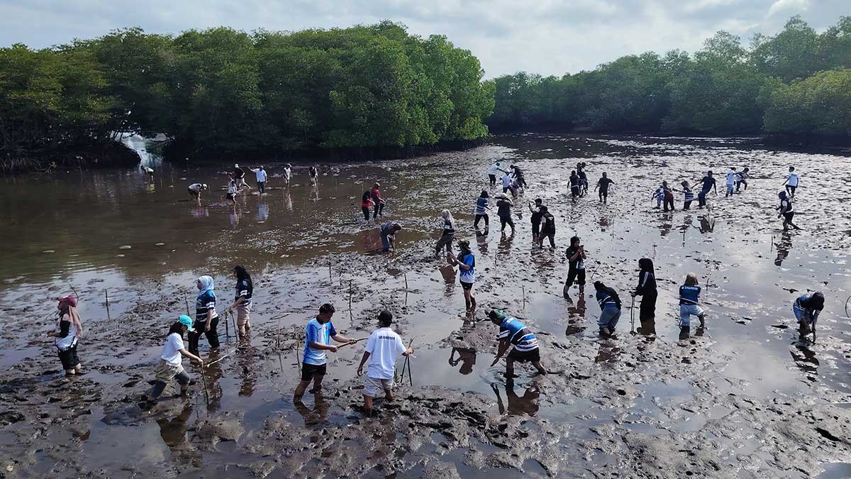 Sulu Youth Leaders Spearhead Mangrove Planting for Coastal Resilience
