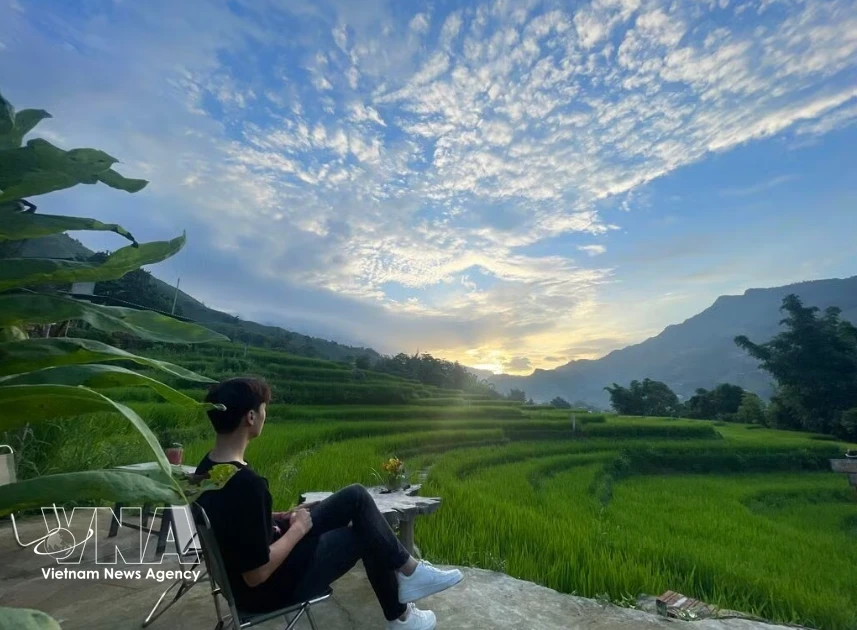 Vietnam Focuses on Wellness and Culinary Tourism for Strategic Growth