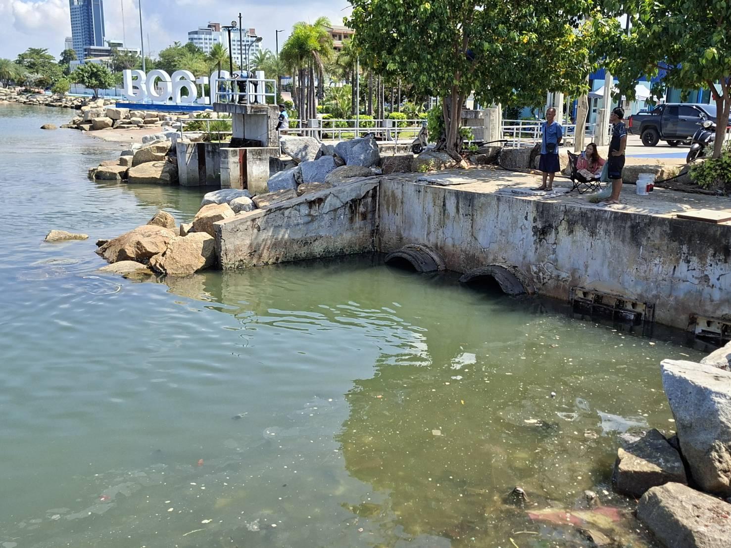Local Fishermen See Windfall of Large Catches Following Heavy Rains in Chonburi