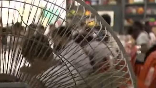 DepEd Drafts Rules for Automatic Class Suspensions Amid Extreme Heat, Storms