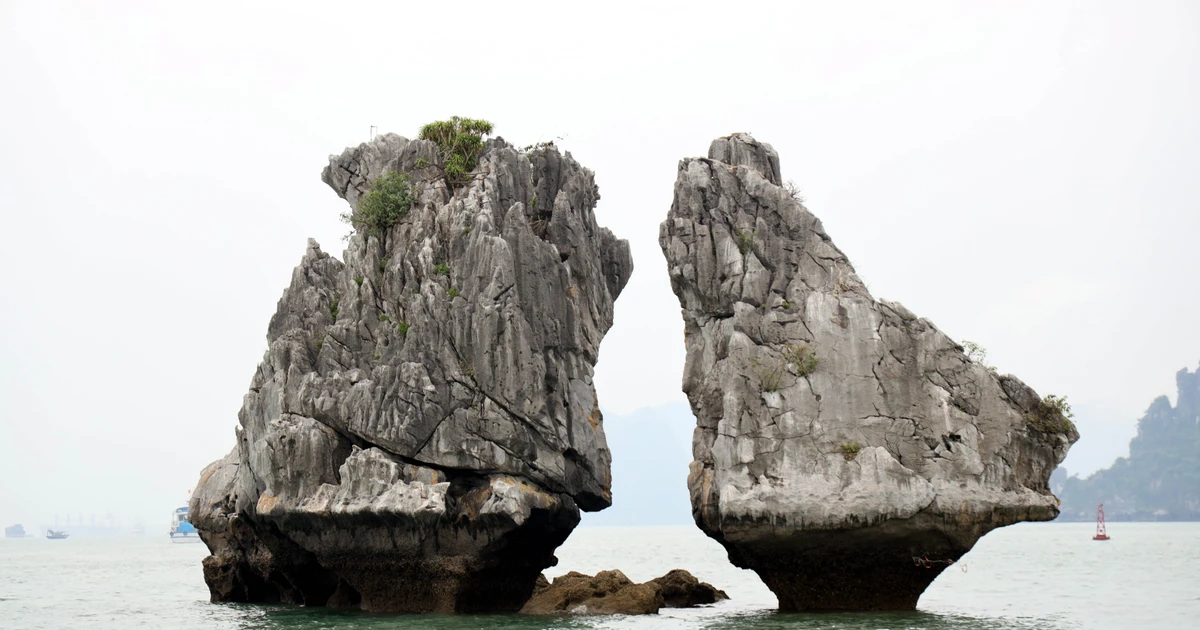 Vietnam Boosts Economic Growth and Regional Diplomacy