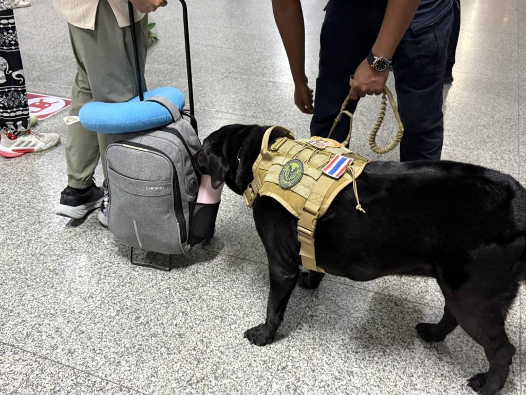 Red Line Railway Partners with K-9 Units to Enhance Security During Long Holidays