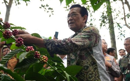 Yogyakarta Government Deploys Mobile Coffee Carts to Boost Local Bean Sales
