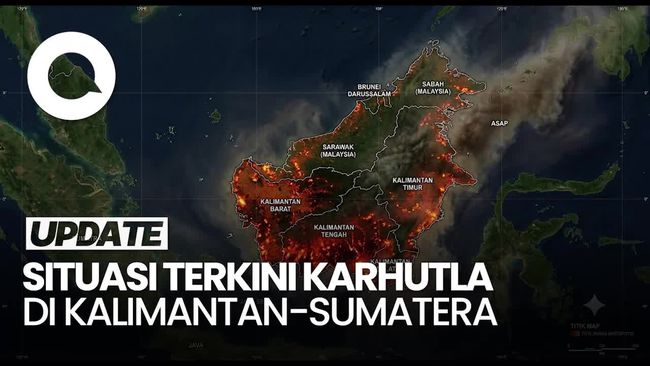 Indonesia Forest Fires: Kalimantan Sees Rising Hotspots, Sumatra Decreases